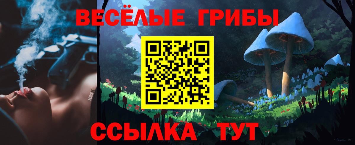 Галлюциногенные грибы прущие грибы Тейково